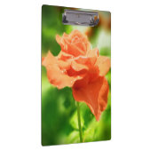 Porte-bloc Fleurs Roses romantiques #2 (Swatch)