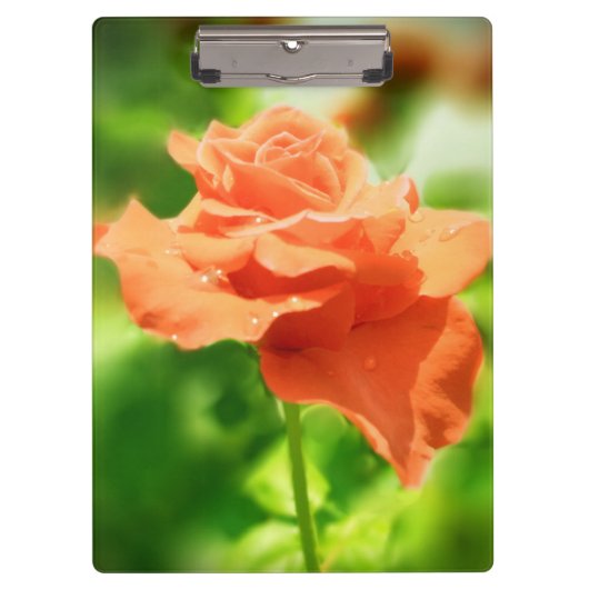 Porte-bloc Fleurs Roses romantiques #2 (Devant)