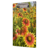 Porte-bloc fleurs sauvages à roues à feu (Gaillardia pulchell (Gauche)