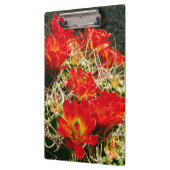 Porte-bloc Fleurs sauvages de la Claret Cactus (Gauche)