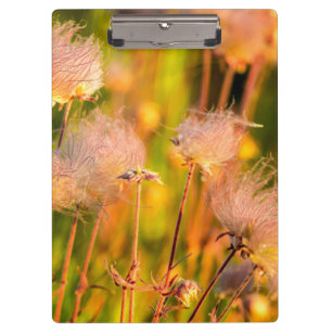 Porte-bloc Fleurs sauvages Prairie Smoke dans un bosquet de t
