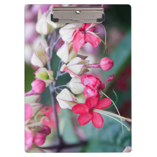 Porte-bloc Fleurs tropicales roses et blanches rouges