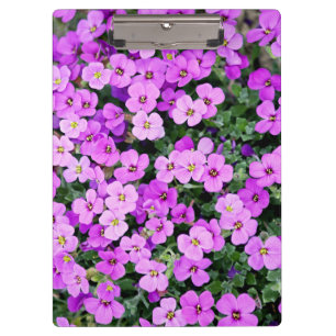 Porte-bloc Fleurs violettes