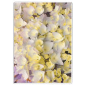 Porte-bloc Floral clipboard  (Dos)