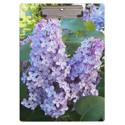 Porte-bloc Floral de Lilac pourpre (Devant)