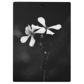 Porte-bloc floral noir et blanc minimaliste (Dos)