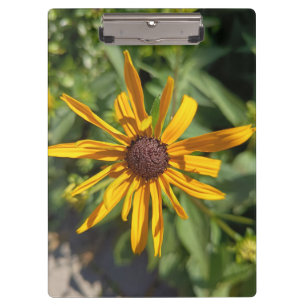 Porte-bloc floral Tournesol à œil noir doré Bota