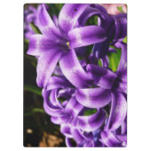 Porte-bloc Flore de printemps Blue Hyacinth II (Dos)