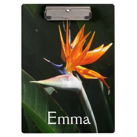 Porte-bloc Flower tropical orange paradise (Devant)