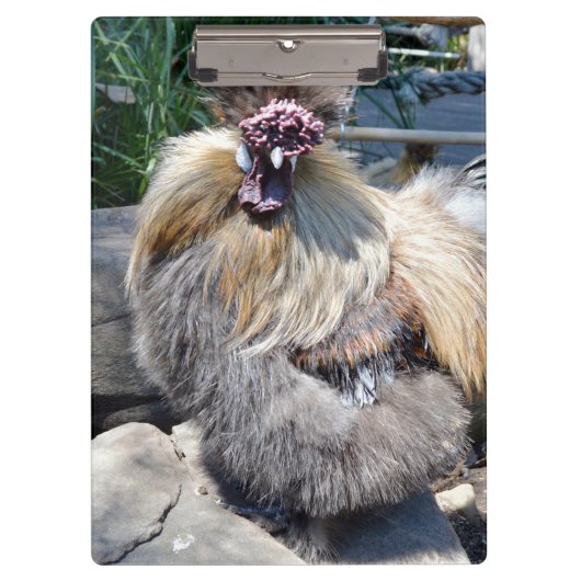 Porte-bloc Fluffy Charm Imperfection : Un Rooster Silky Uniqu (Devant)