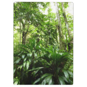 Porte-bloc Forêt de pluie dominicaine I Nature verte tropical (Dos)