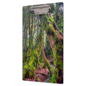 Porte-bloc Forêt moussue (Gauche)