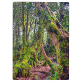 Porte-bloc Forêt moussue (Dos)