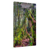 Porte-bloc Forêt moussue (Swatch)