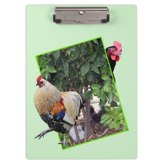 Porte-bloc **"Fowl Play : Cachet de poulet en 3D"** (Devant)