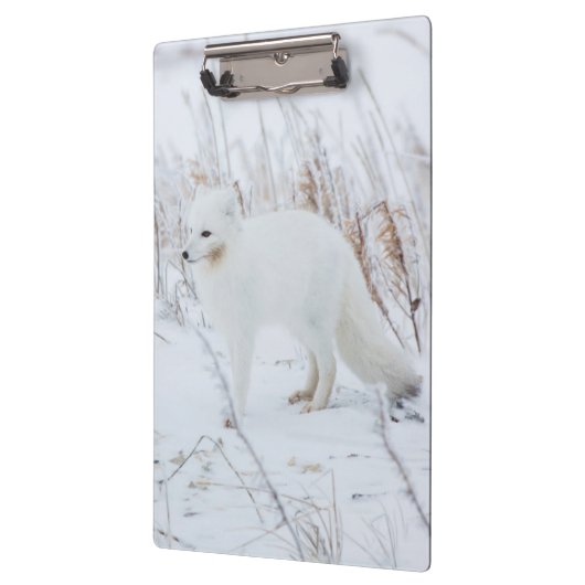 Porte-bloc Fox arctique (Gauche)