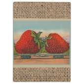 Porte-bloc Fraises Géant Antique Fruit Amusement (Dos)