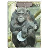 PORTE-BLOC FUNNY CHIMPANZEE (Devant)