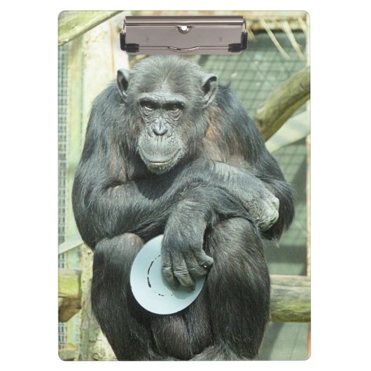 PORTE-BLOC FUNNY CHIMPANZEE (Devant)