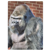 PORTE-BLOC FUNNY GORILLA (Dos)