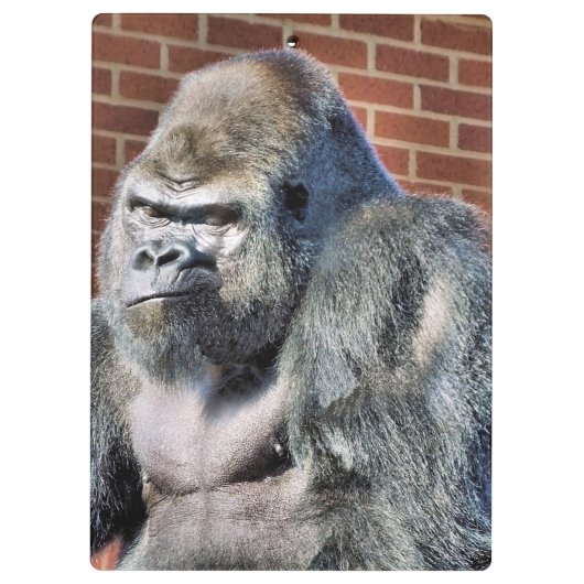 PORTE-BLOC FUNNY GORILLA (Dos)