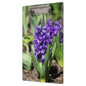Porte-bloc Géocinthe bleu au printemps (Gauche)