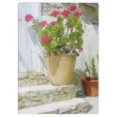 Porte-bloc Géranium de couleur rouge (Dos)