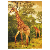 Porte-bloc Girafes sud-africaines (Dos)