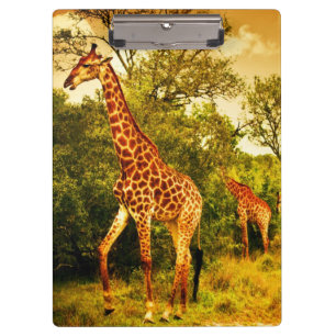 Porte-bloc Girafes sud-africaines