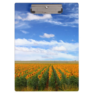 Porte-bloc Gisements de tournesol