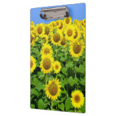 Porte-bloc Gisements de tournesol (Gauche)