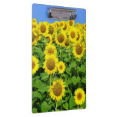 Porte-bloc Gisements de tournesol (Swatch)