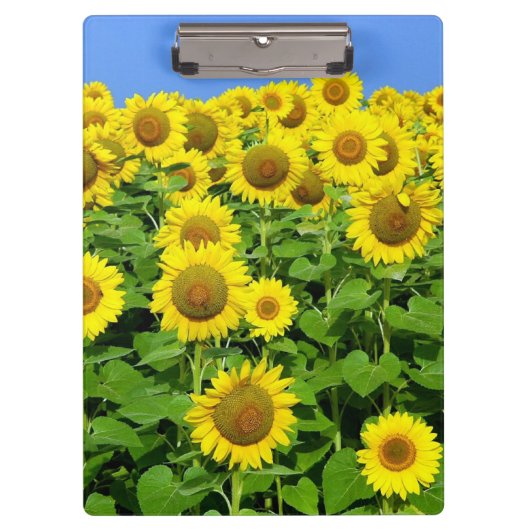 Porte-bloc Gisements de tournesol (Devant)