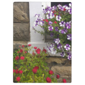 Porte-bloc Gîte écossais avec pétunias et rose (Dos)