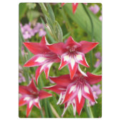 Porte-bloc Gladiolas rouge et blanc Botanique d'été (Dos)