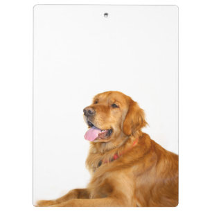 Porte-bloc Golden retriever