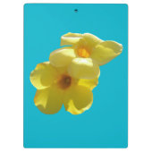 Porte-bloc Golden Trumpet (Dos)