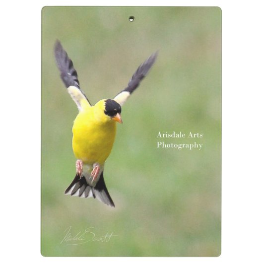 Porte-bloc Goldfinch sur Harebell Flower (Dos)