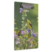 Porte-bloc Goldfinch sur Harebell Flower (Swatch)