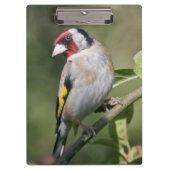 Porte-bloc Goldie Porte - bloc (Devant)