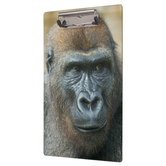 Porte-bloc Gorilla (Gauche)