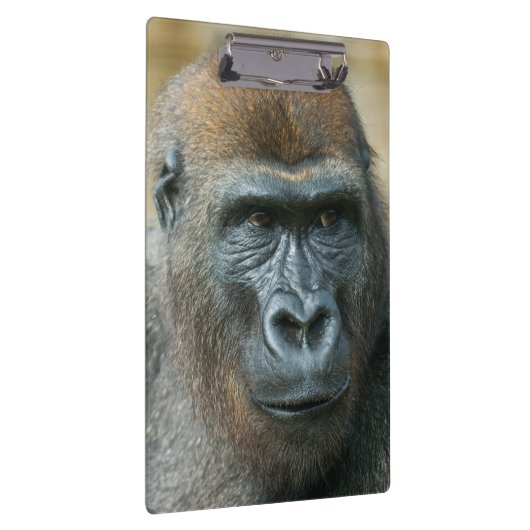 Porte-bloc Gorilla (Swatch)