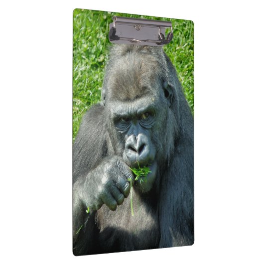 PORTE-BLOC GORILLAS (Swatch)