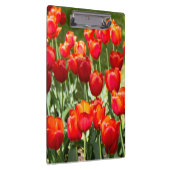 Porte-bloc Grand champ de tulipes rouges (Swatch)