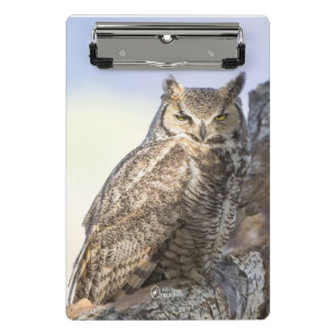 Porte-bloc Grand hibou à cornes - vous regardant mini porte
