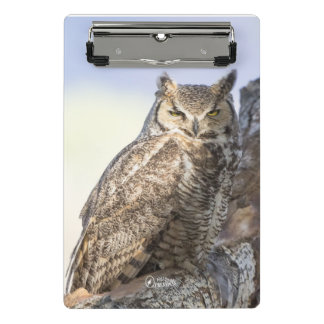 Porte-bloc Grand hibou à cornes - vous regardant mini porte -