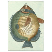 Porte-bloc Grand Poisson Coloré (Dos)