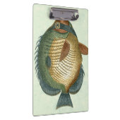 Porte-bloc Grand Poisson Coloré (Swatch)