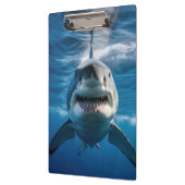 Porte-bloc Grand requin blanc (Gauche)