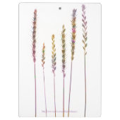 Porte-bloc Grasses colorées (Dos)
